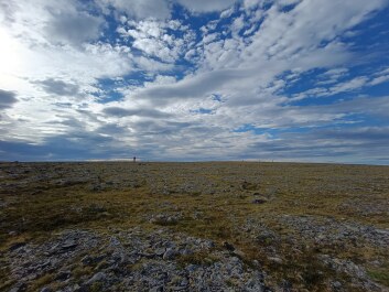 photo 2145838