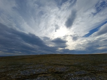 photo 2145841