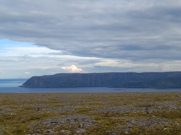 photo 2146586
