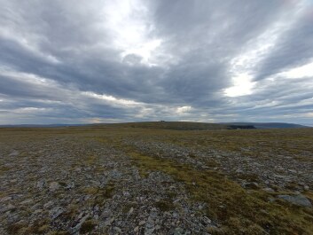 photo 2147111