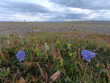 photo 2147112