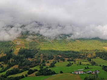 photo 2134966