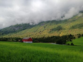 photo 2135035