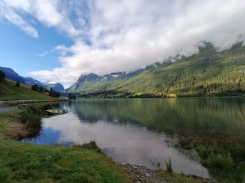 photo 2135041
