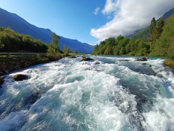 photo 2135223