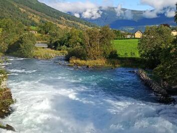 photo 2135225