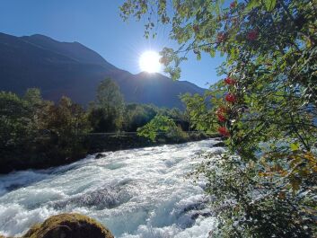 photo 2135226