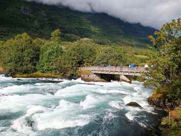 photo 2137224