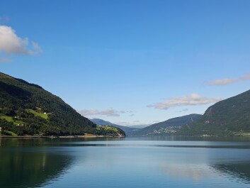 photo 2137863