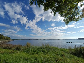 photo 2143978