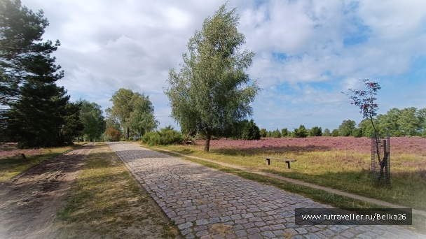 photo 2154069