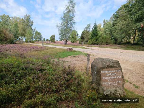photo 2154070