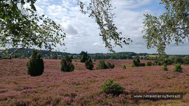 photo 2154458
