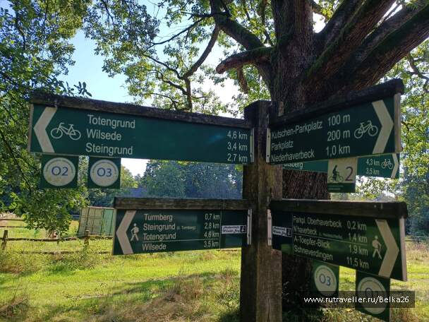 photo 2155895