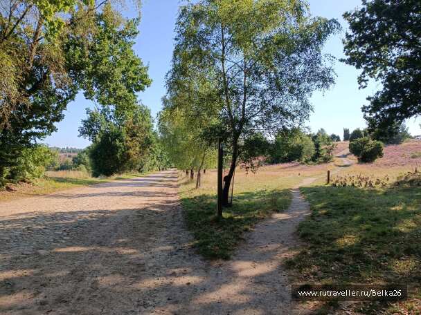 photo 2155945
