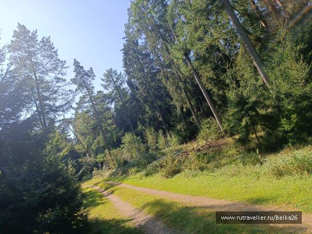 photo 2157671