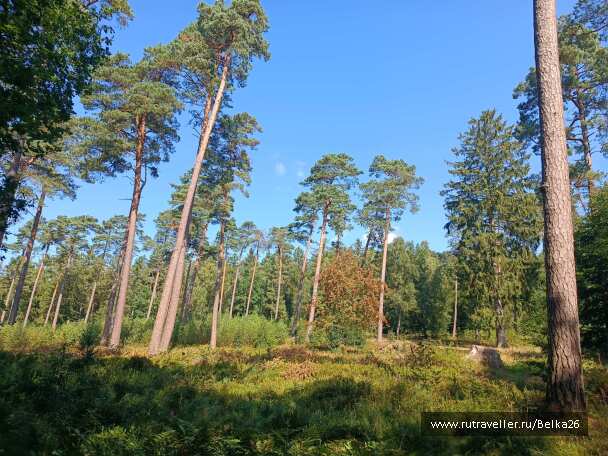 photo 2157870