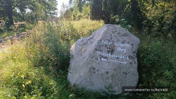 photo 2157954