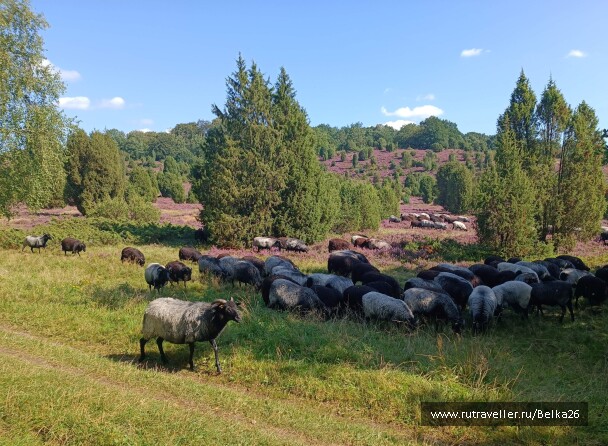 photo 2158042