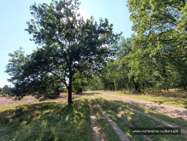photo 2158173