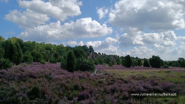 photo 2159325