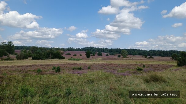 photo 2159383