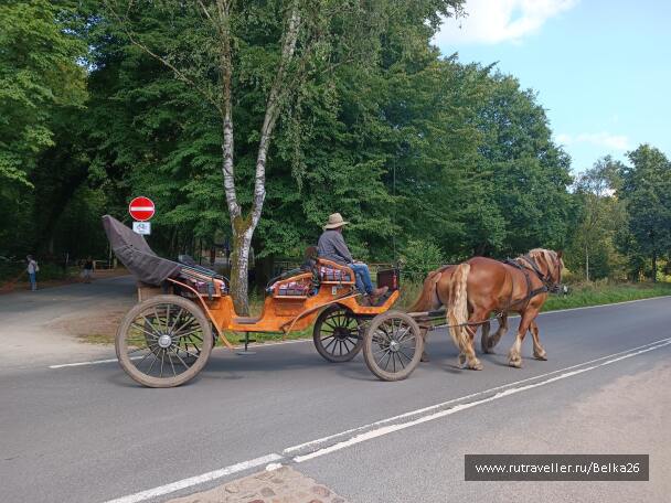 photo 2159414