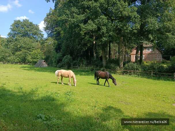 photo 2159415