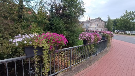 photo 2154329