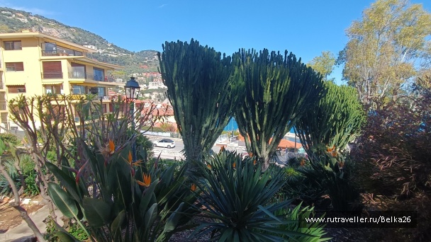 photo 2159377