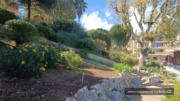 photo 2159511