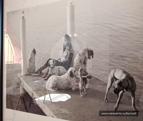 photo 2159619