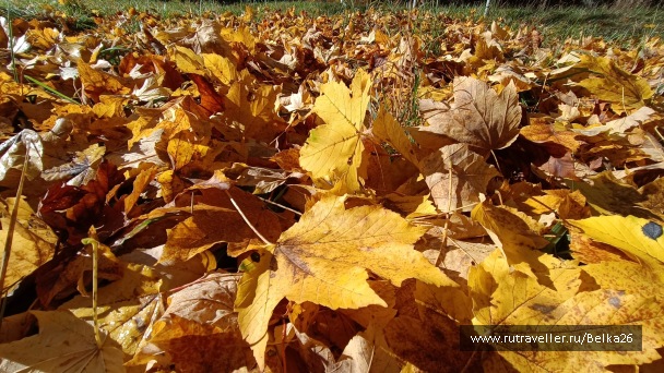 photo 2161966