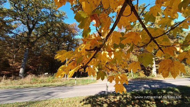 photo 2161967