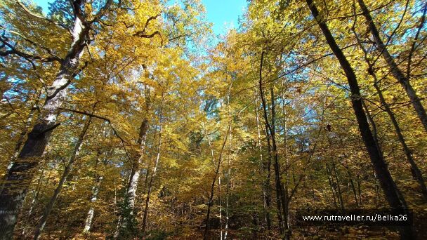 photo 2162071