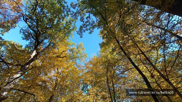 photo 2162072