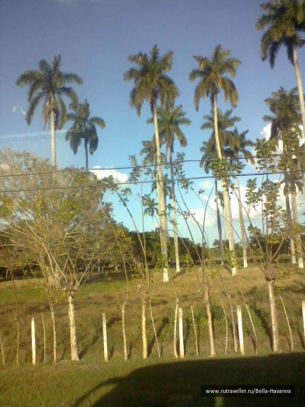 photo 351342