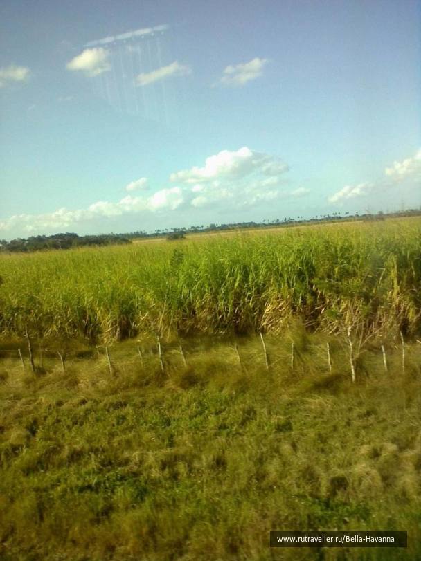 photo 351344