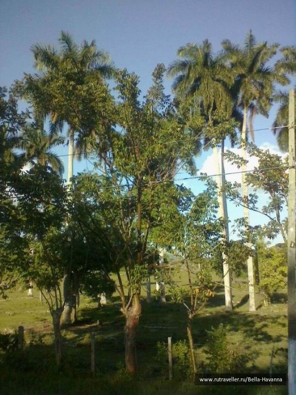 photo 351345