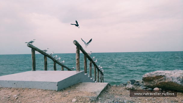 photo 1861769