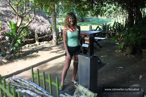photo 41228