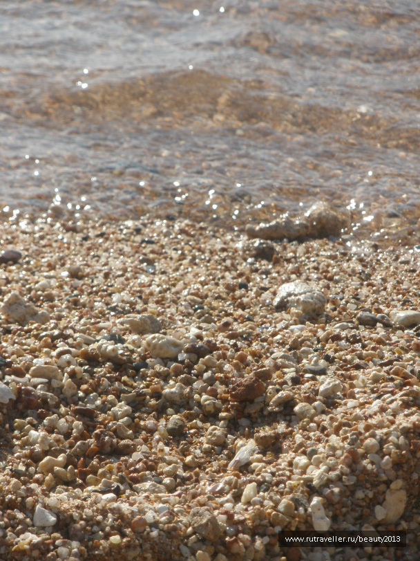 photo 282413