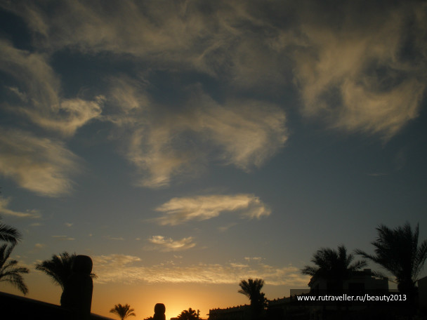 photo 282421