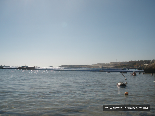 photo 282434