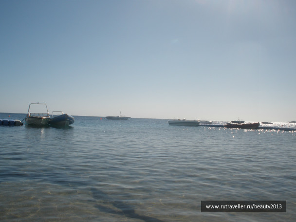 photo 282435
