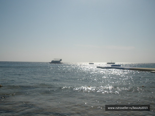 photo 282438