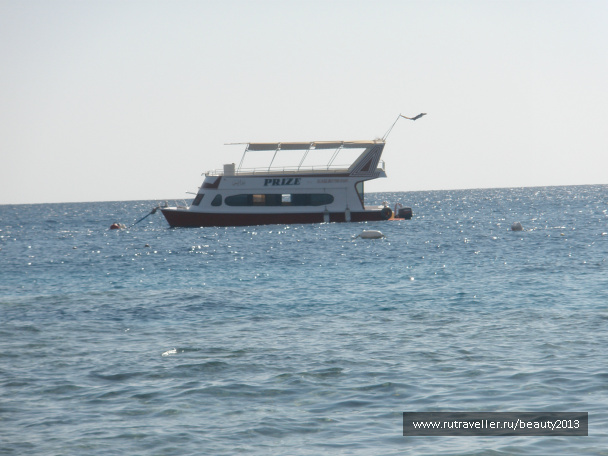 photo 282439