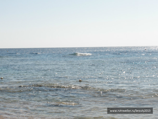 photo 282440