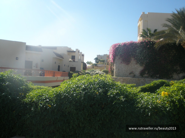 photo 282450