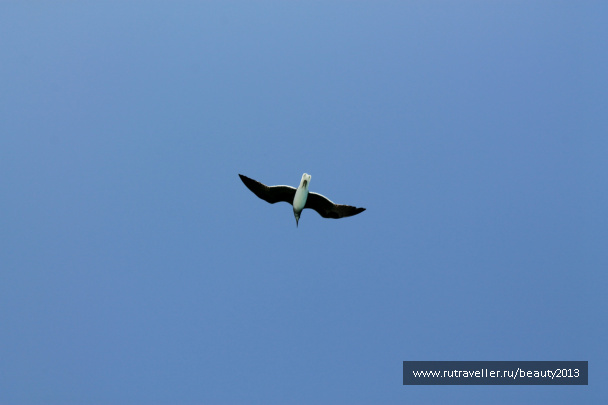 photo 305376
